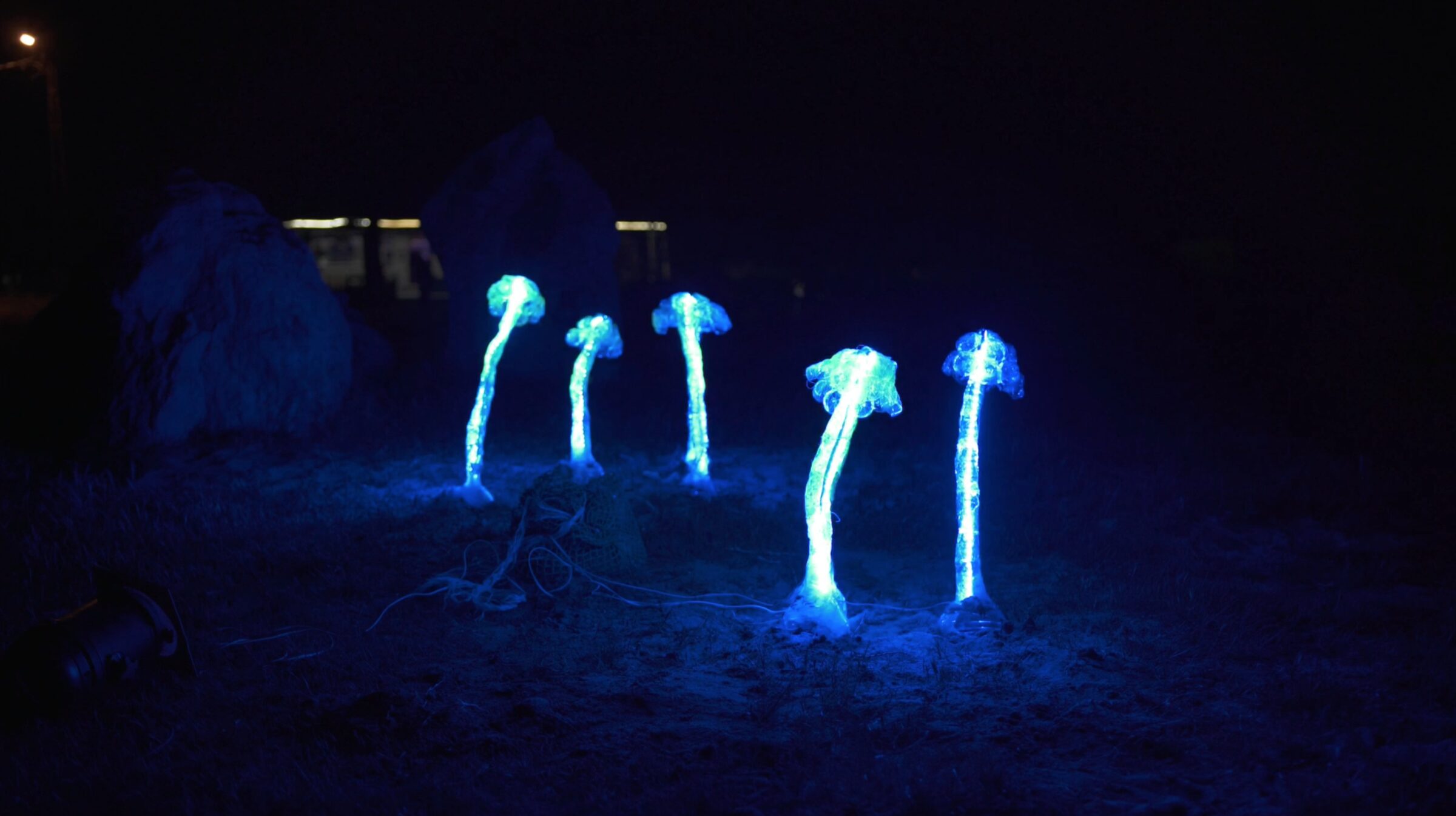 Alternature / Mushrooms, image 4